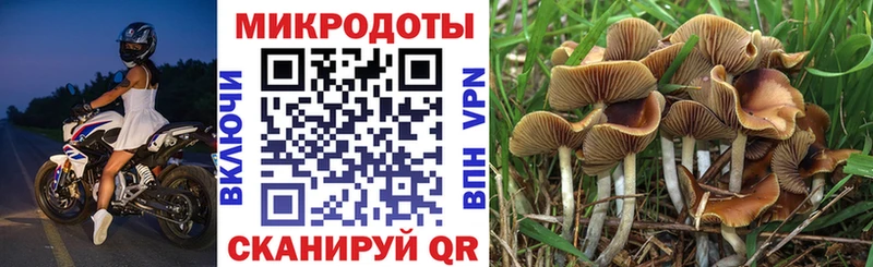 Галлюциногенные грибы GOLDEN TEACHER  как найти   Артёмовск 